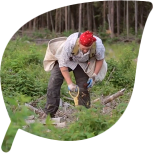 Viver em harmonia com a Natureza.