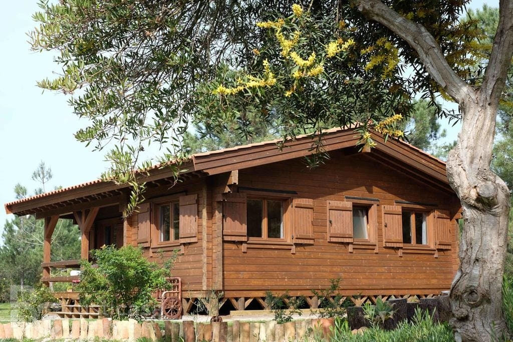 Pine Cottage in Zambujeira do Mar